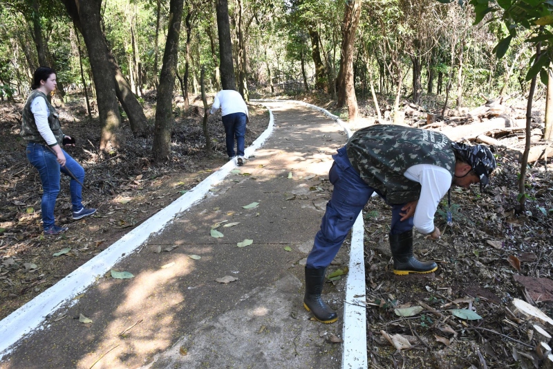 Foto da matéria Vigilância faz busca ativa de escorpiões nos bosques