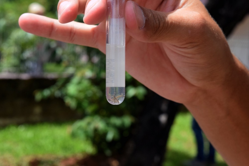 Foto da matéria Saúde reúne sociedade para definir estratégias de combate à dengue