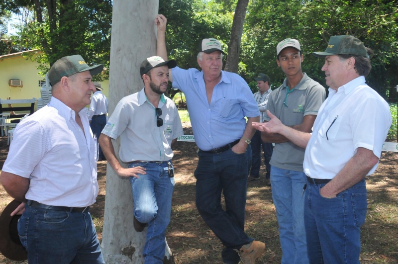 Foto da matéria Pozzobom participa de dia de campo sobre cultivo de soja