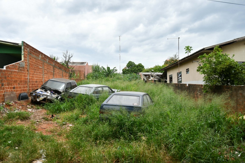 Foto da matéria Na edição deste ano, Bairro Saudável também tem vistorias em terrenos baldios