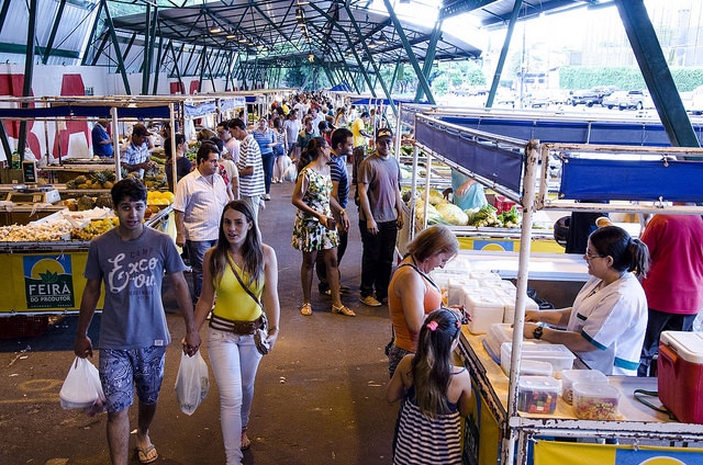 Foto da matéria Feirantes regularizados ganham selo de qualidade
