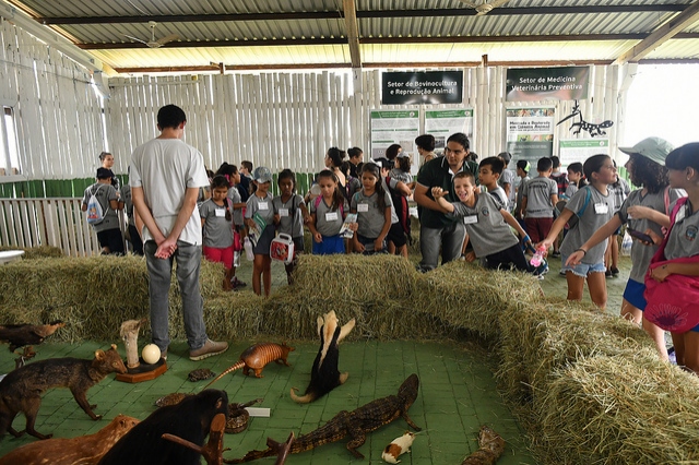 Foto da matéria Crianças da rede municipal se divertem de graça na Expo-Umuarama