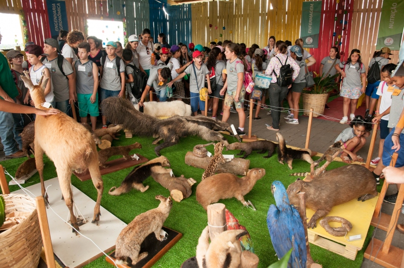 Foto da matéria Mais de 3 mil alunos da rede municipal visitam Expo-Umuarama de graça