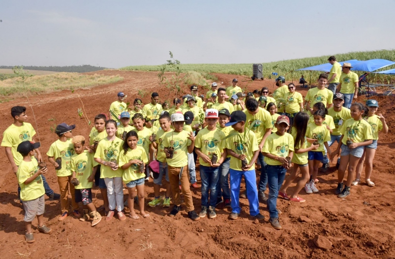 Foto da matéria Educação firma parceria com usina e alunos plantam 500 mudas de árvores