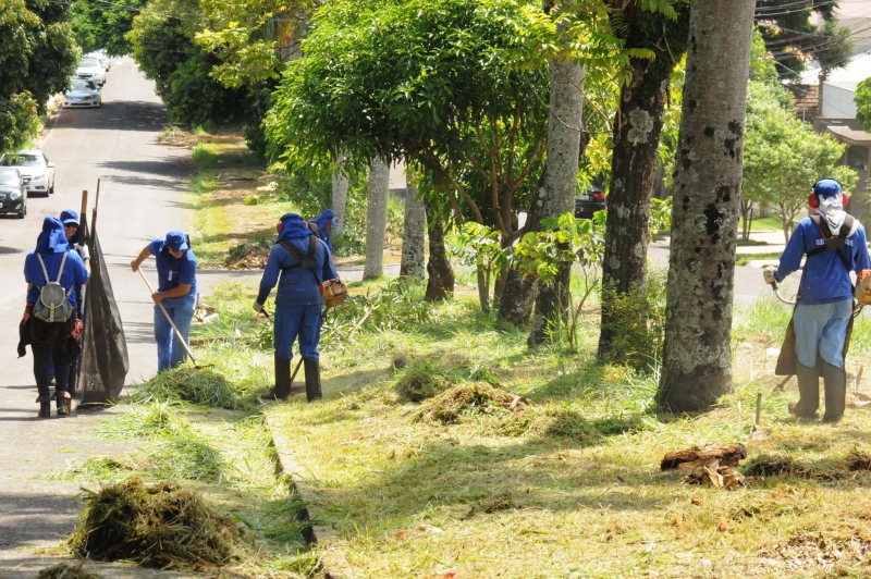 Foto da matéria Equipes da Prefeitura se empenham na poda de árvores e limpeza de canteiros