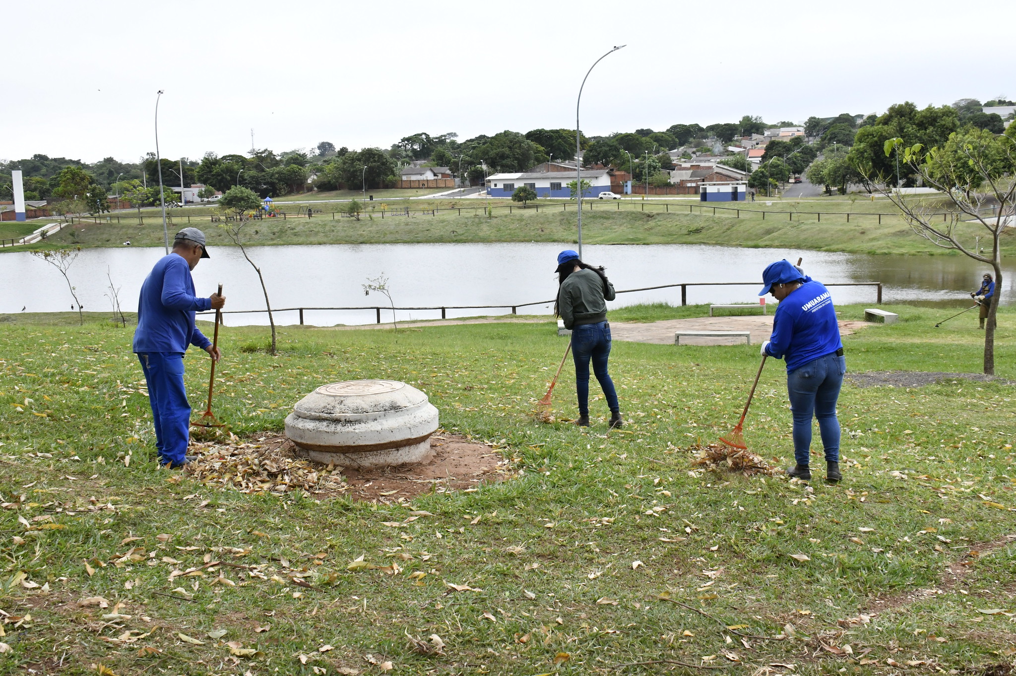 funcionários varrem as folhas do gramado que cerca o lago tucuruvi