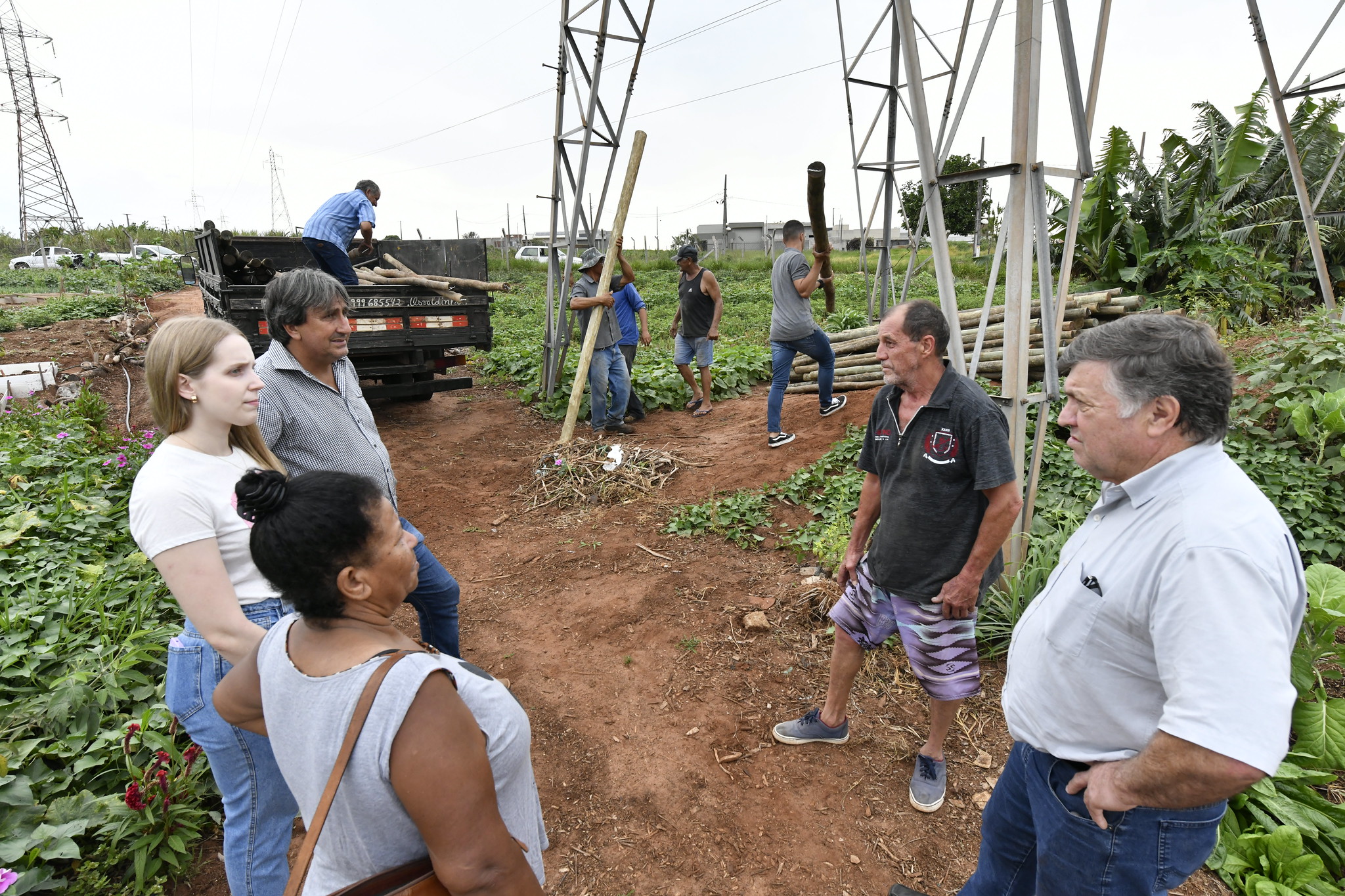 autoridades observam a entrega de palanques de madeira para instalação de sombreamento na horta