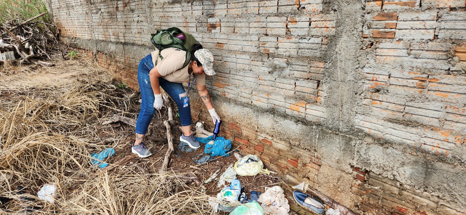 agente de combate a endemias elimina focos de criação do mosquito transmissor da dengue