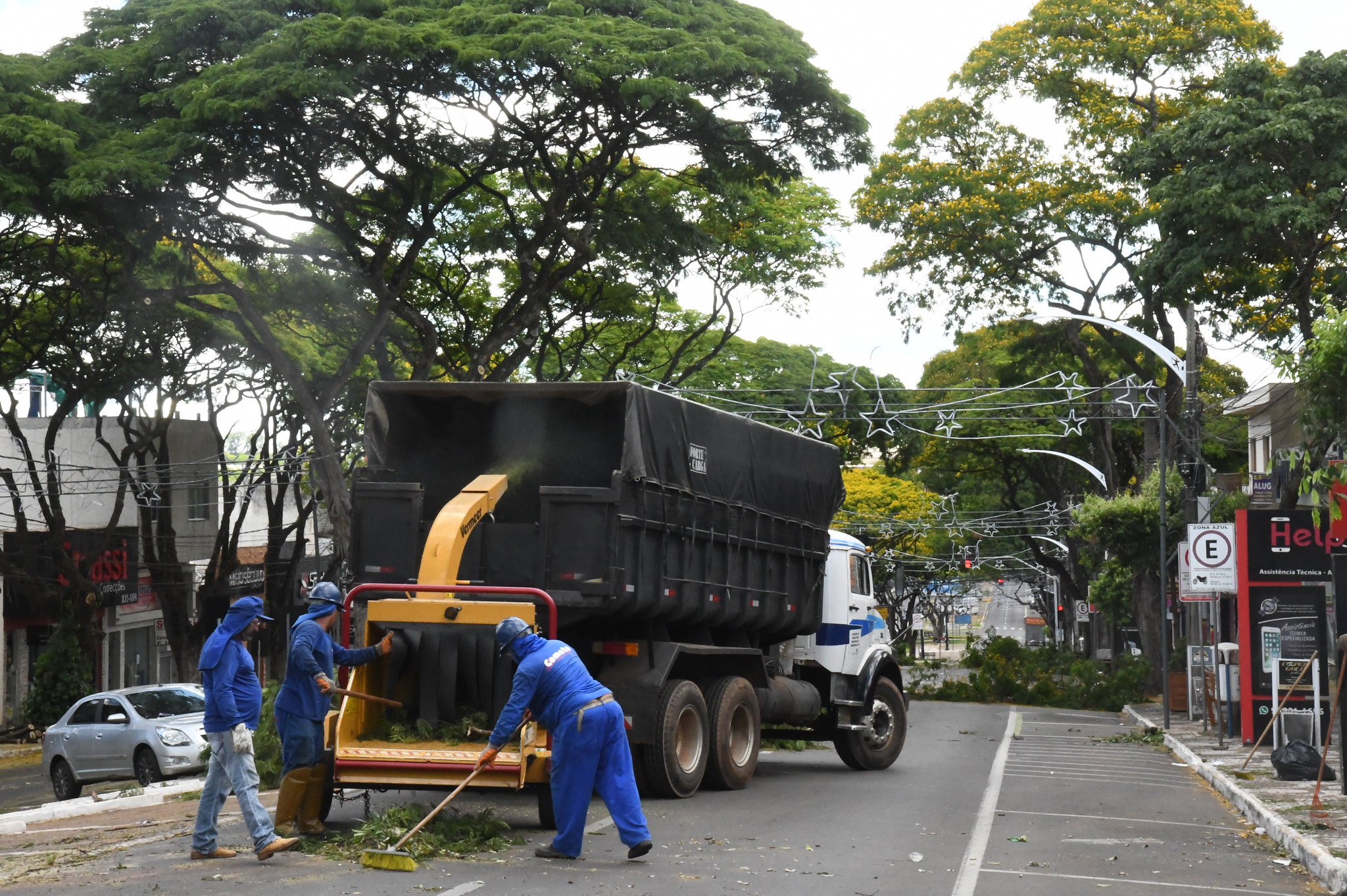 Caminhão com trabalhadores podando árvores