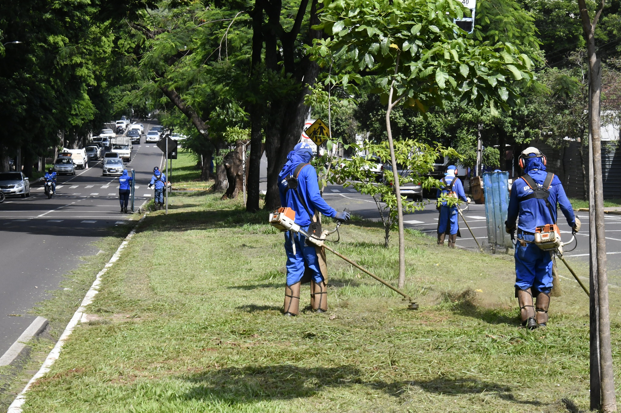 servidores roçam grama em canteiro central