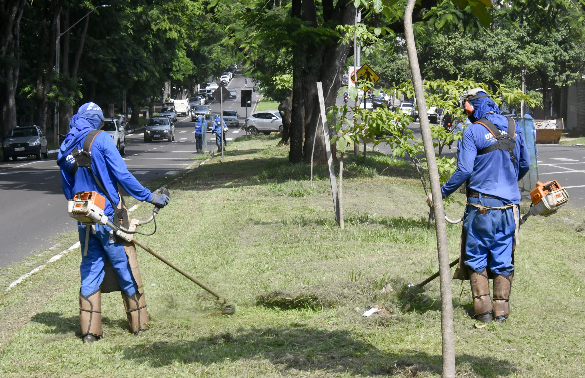 servidores fazem a roçada de grama em canteiro de avenida