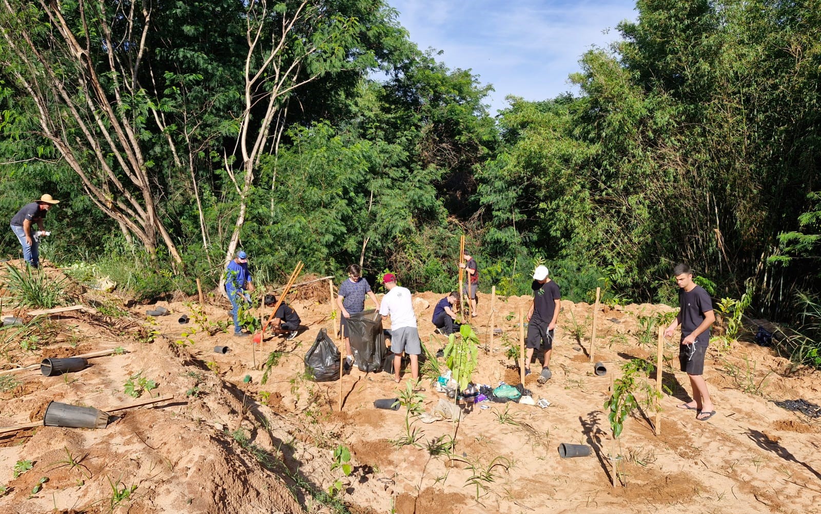 jovens plantando mudas de árvores em área desmatada