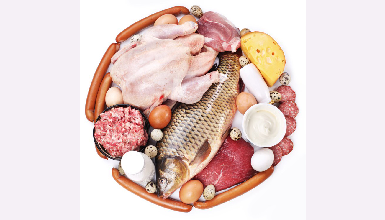 imagem de alimentos de origem animal, carnes, queixos, embutidos