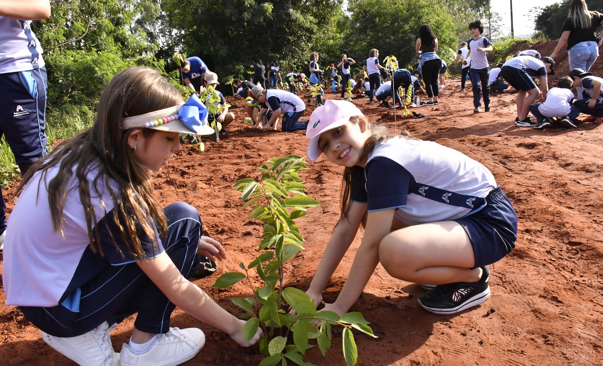 crianças plantando muda de árvore no chão