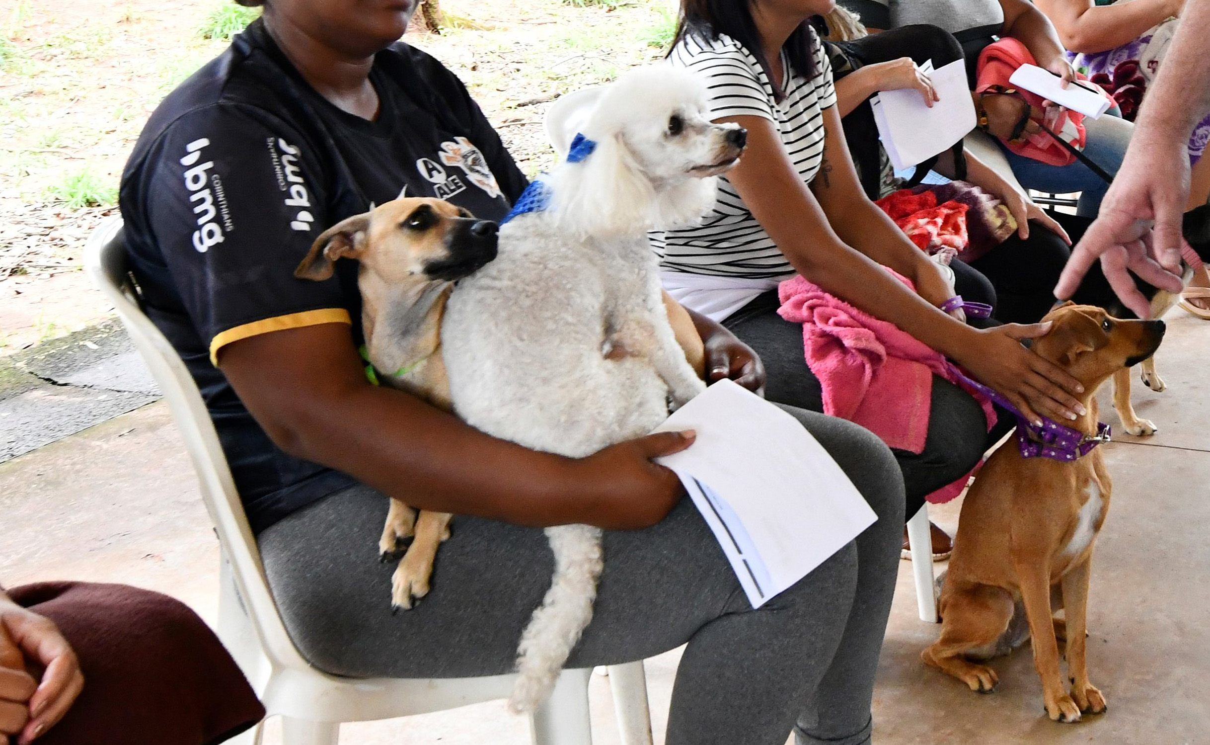 imagem de pessoa segurando dois cães no colo