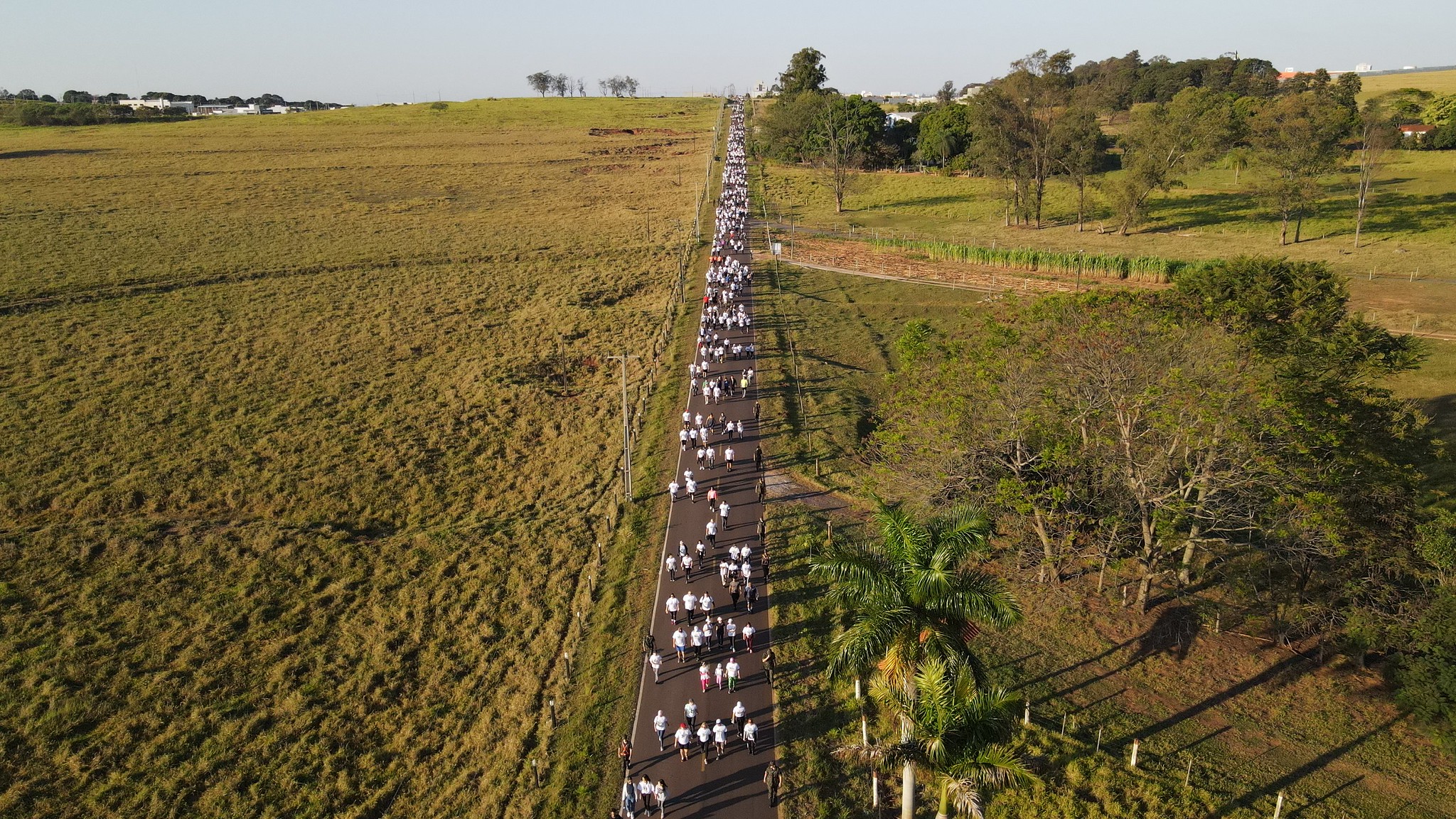 imagem aérea das pessoas caminhando pela estrada rural