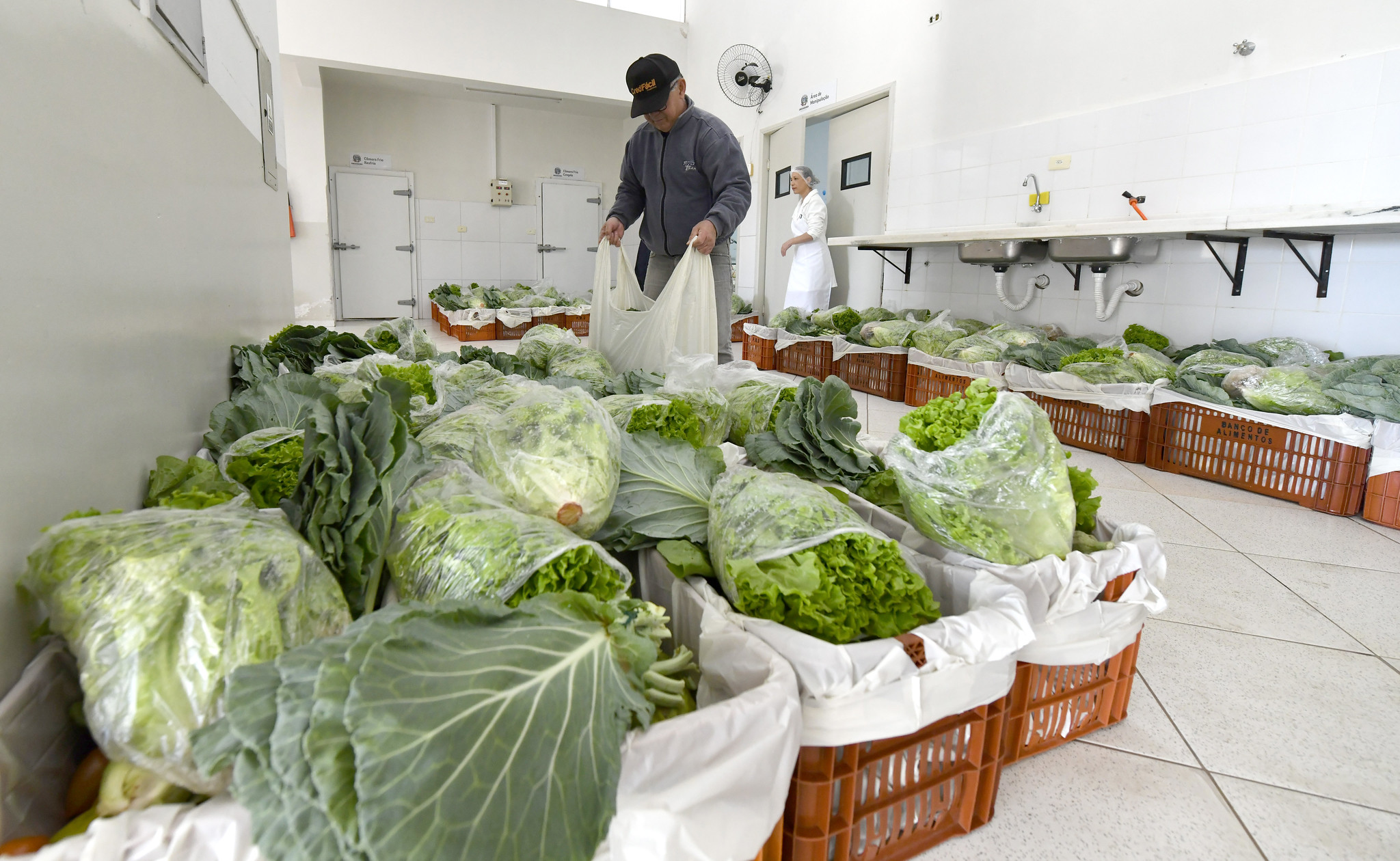 homem recebe cesta verde com verduras e legumes para uma boa alimentação