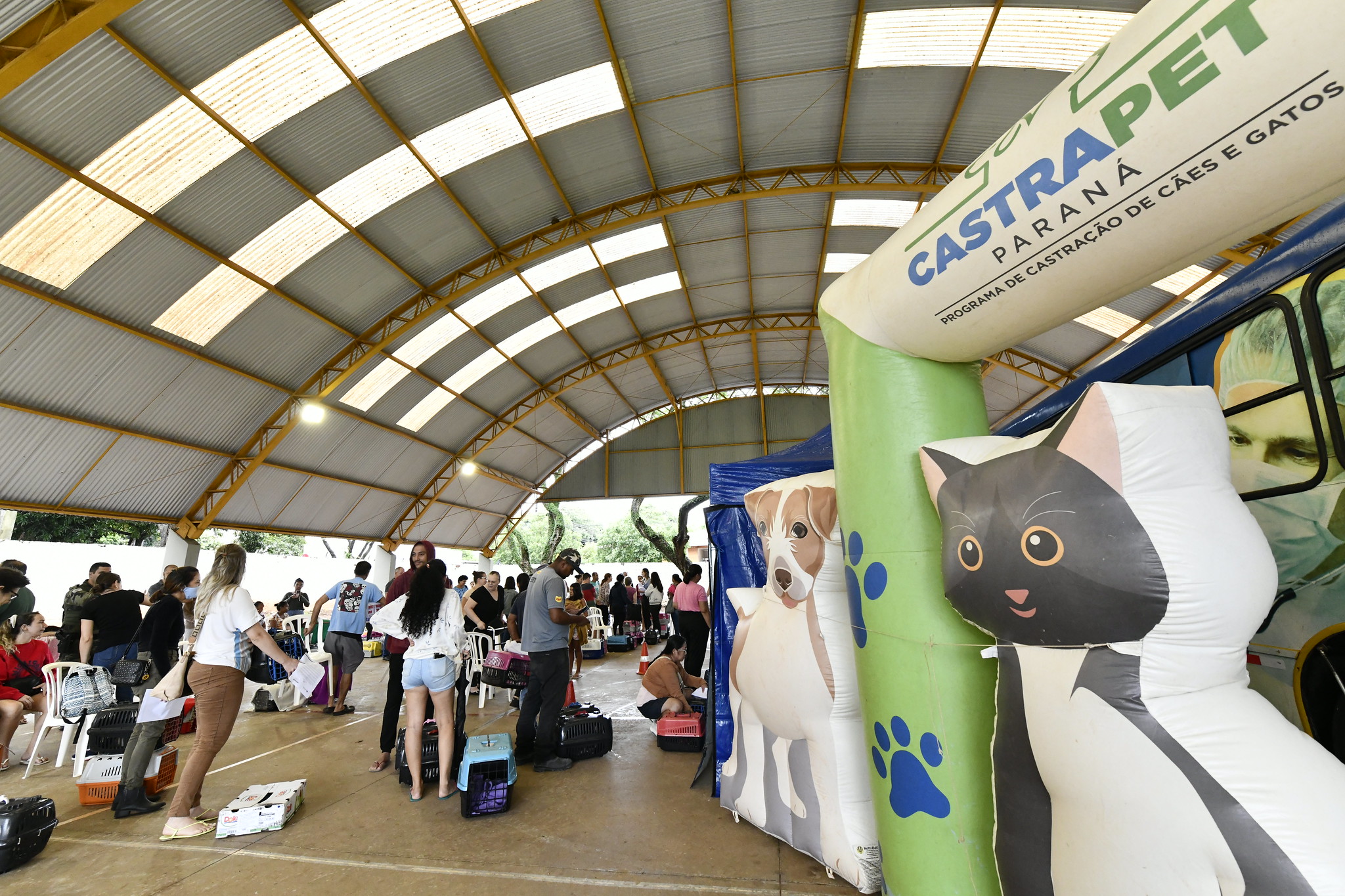 imagem de ginásio de esportes com estrutura de atendimento aos animais