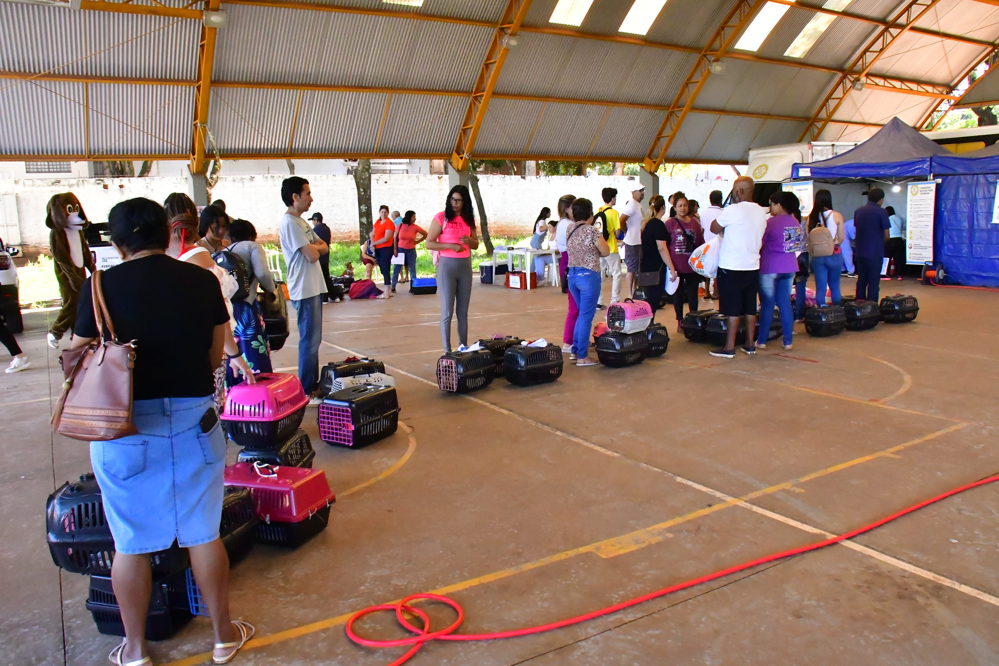 fila de tutores aguardando a castração dos seus animais