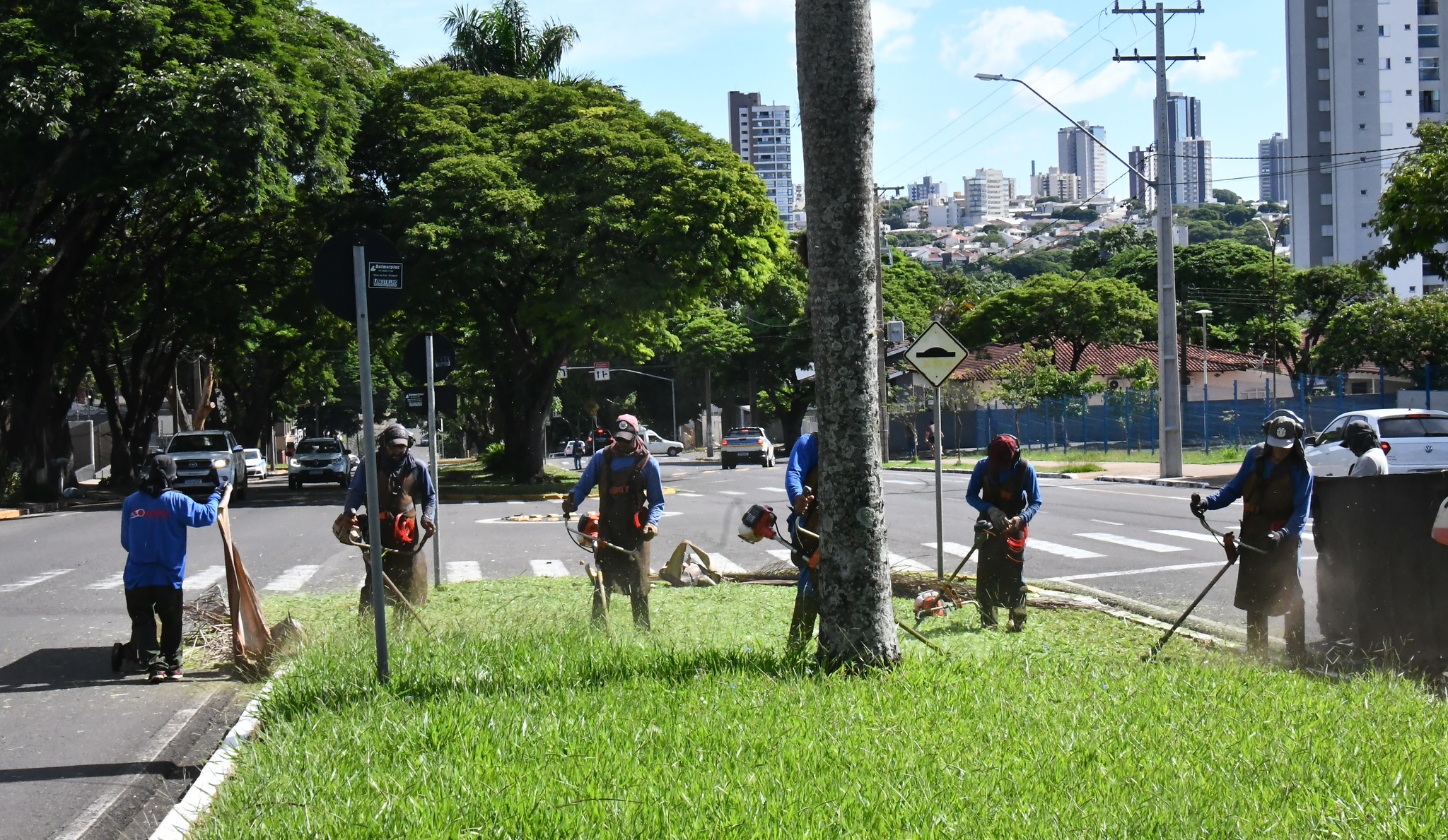 trabalhadores roçam o mato com cortadores de grama em canteiro central de avenida