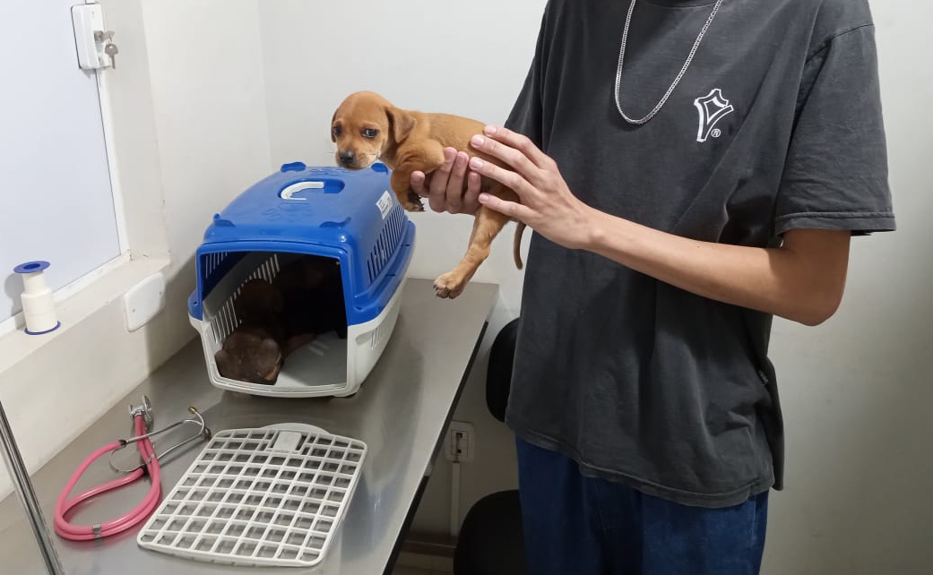 jovem segura filhote de cachorro na mão, ao lado de gaiola com mais animais