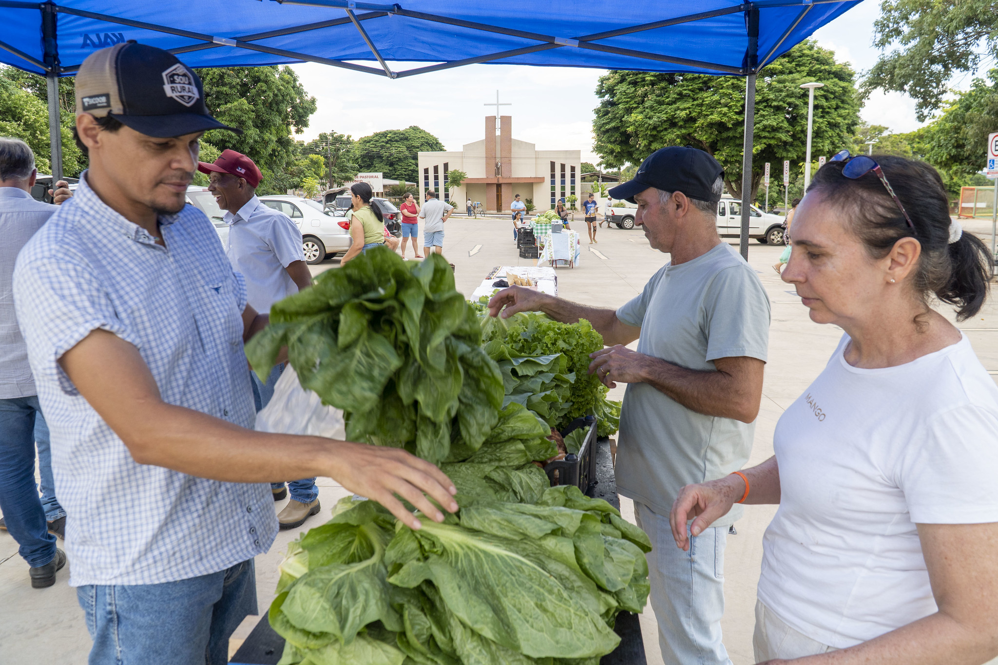 imagem de feirantes vendendo verduras