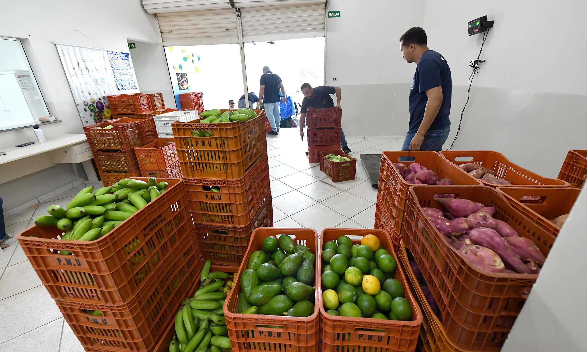 Ver notícia Banco de Alimentos fortalece programas e amplia repasse de produtos