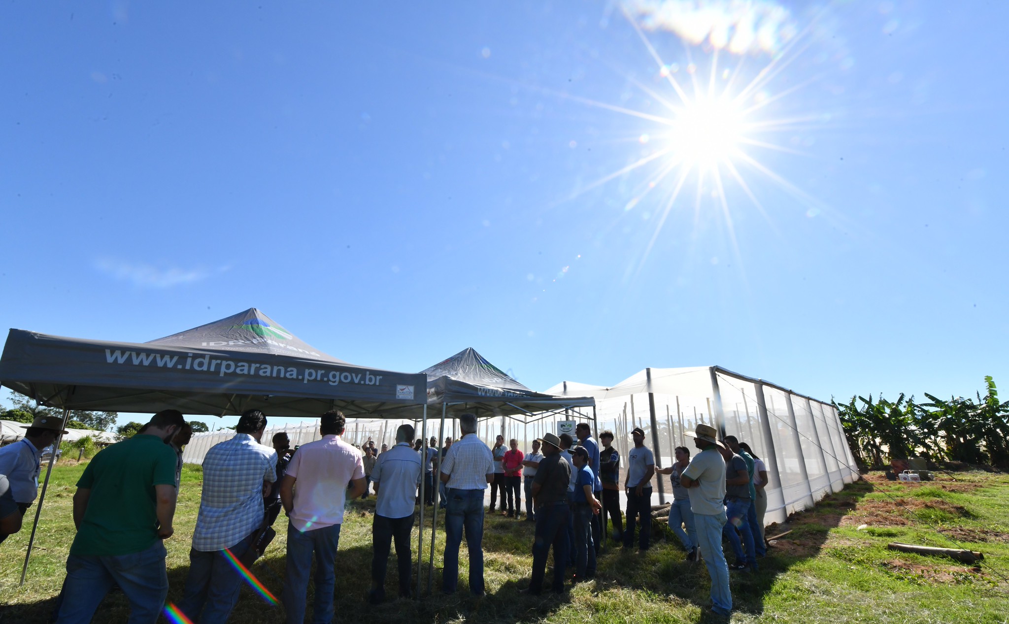 convidados para a entrega da estufa sob o sol da manhã