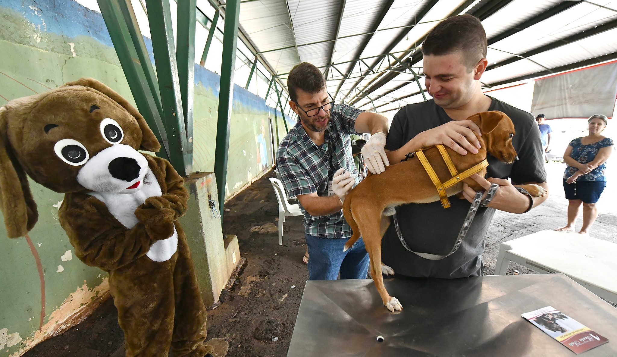 veterinário vacina cachorro segurado pelo dono, diante de um mascote em tamanho humano