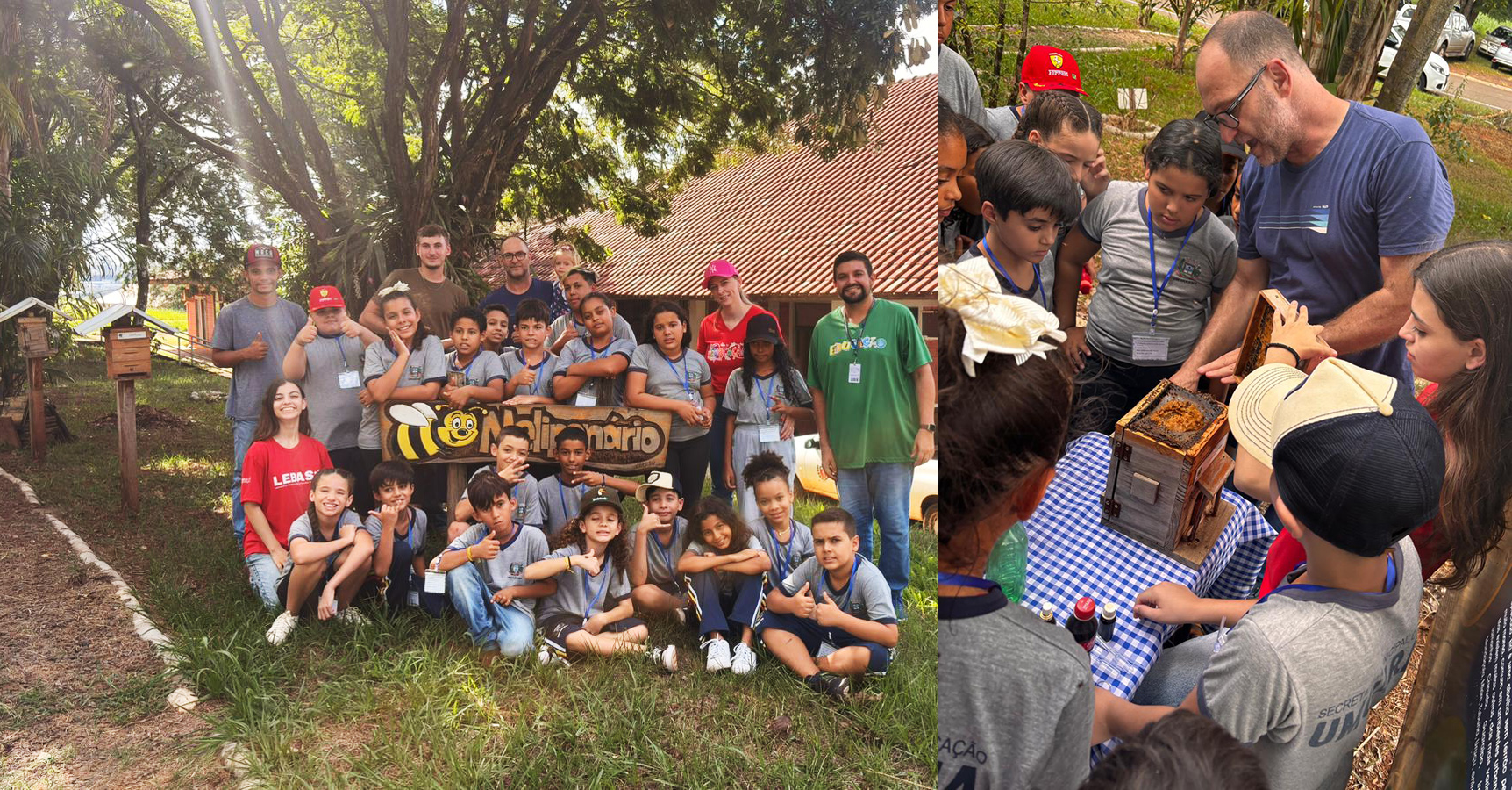 crianças visitam universidade e conhecem abelhas sem ferrão