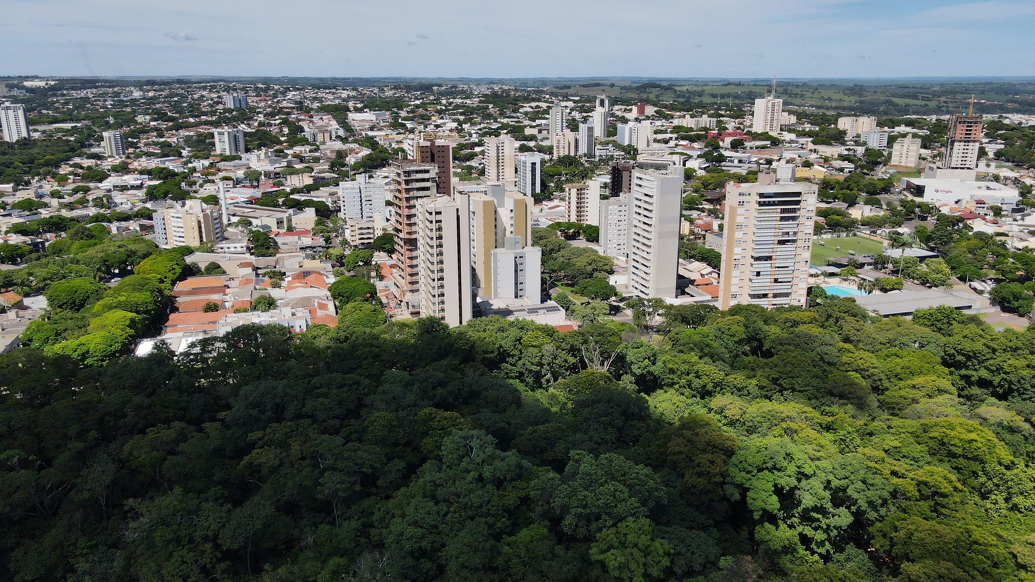 imagem aérea da cidade, mostrando bosque e prédios da região central