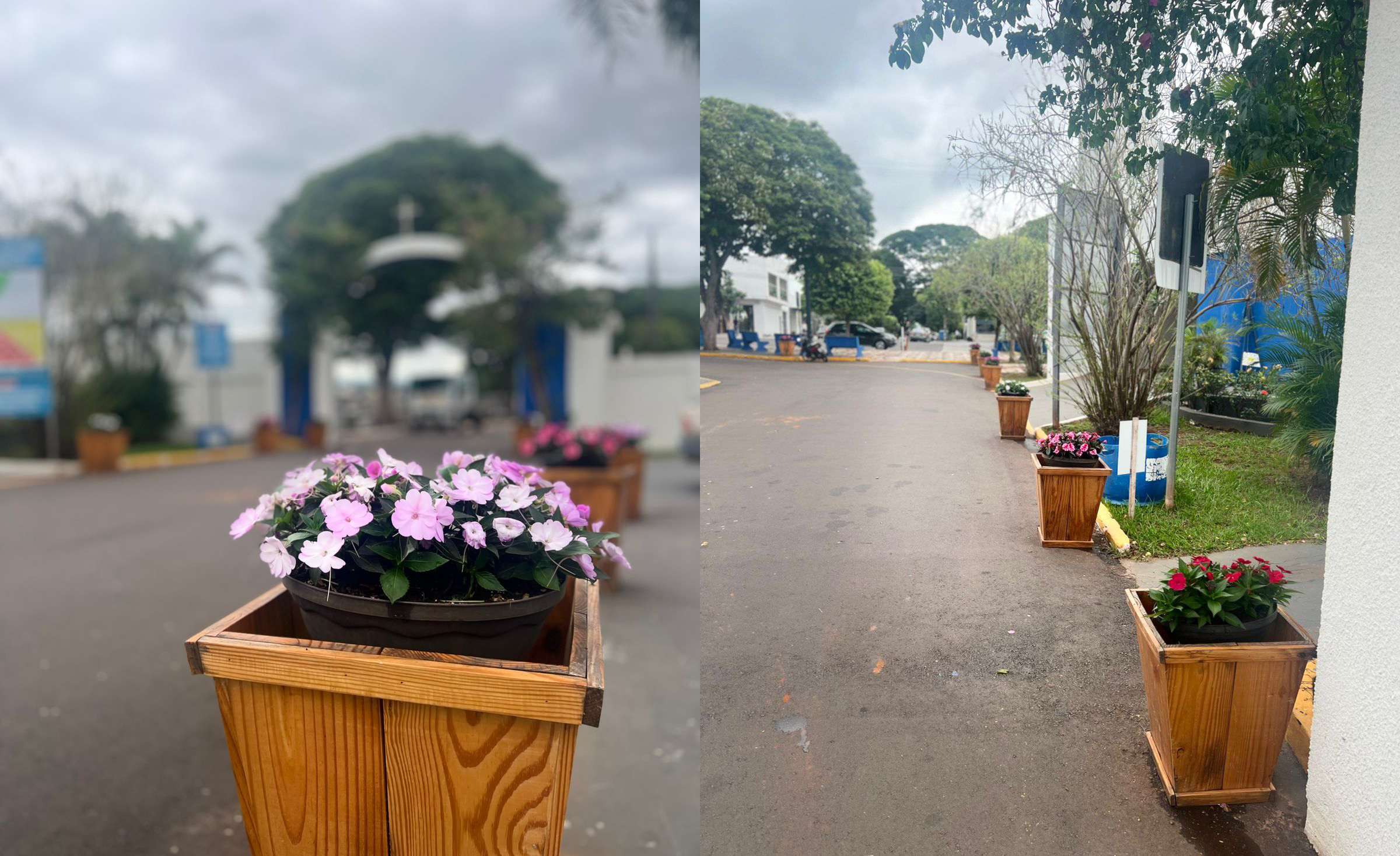vasos decorativos com flores na entrada do cemitério