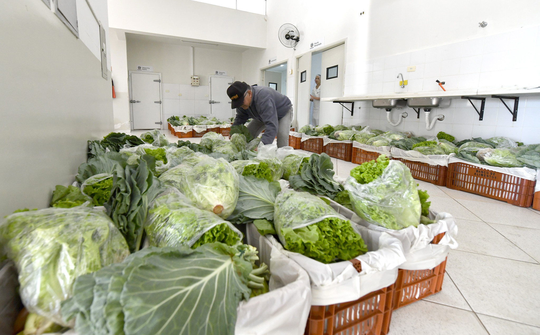 consumidor retira produtos da cesta verde em caixas com verduras