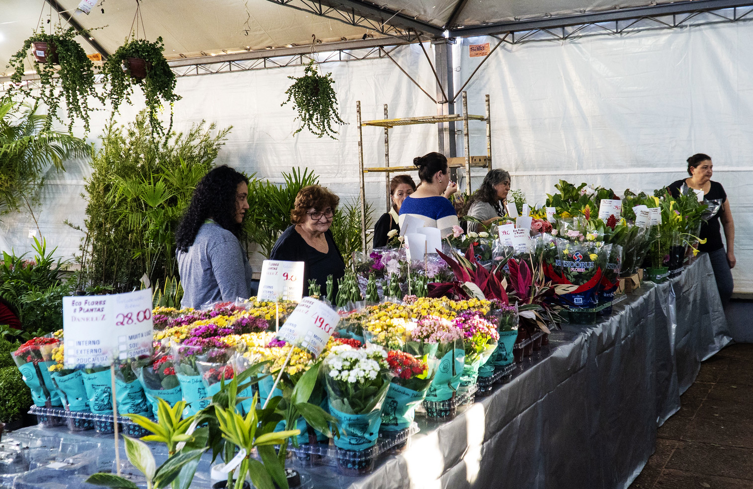 banca da exposição cheia de vasos de flores e pessoas observando