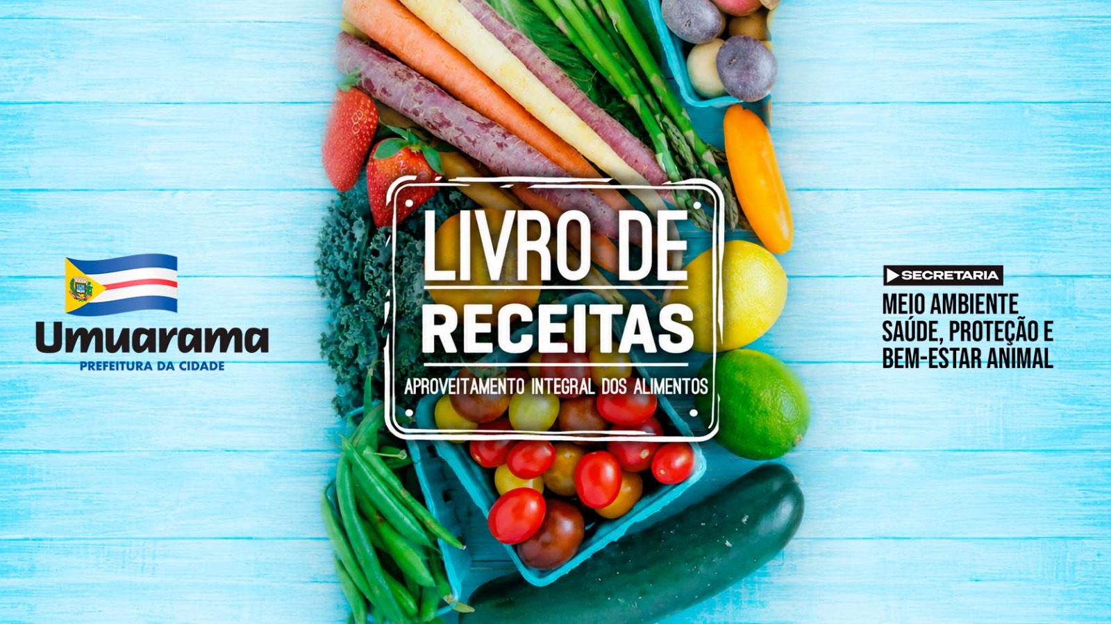 reprodução da capa do livro de receitas, com foto de legumes e verduras