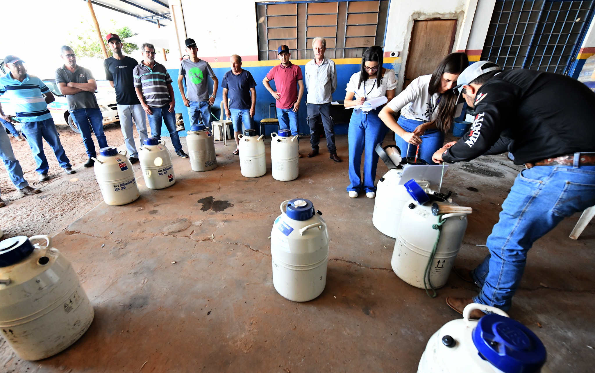 produtores recebem as doses de sêmen bovino doadas pelo município