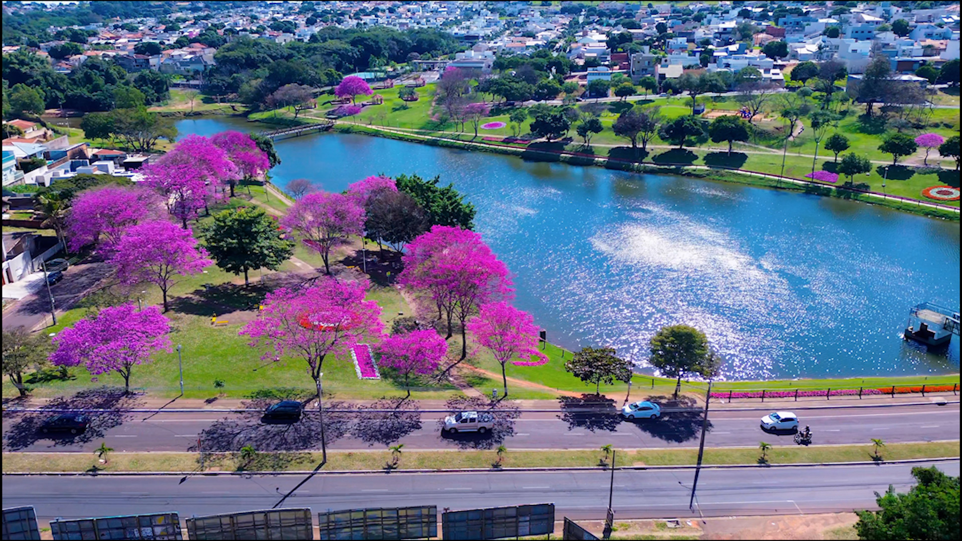 Lago Aratimbó, com a florada dos ipês rosa, em Umuarama