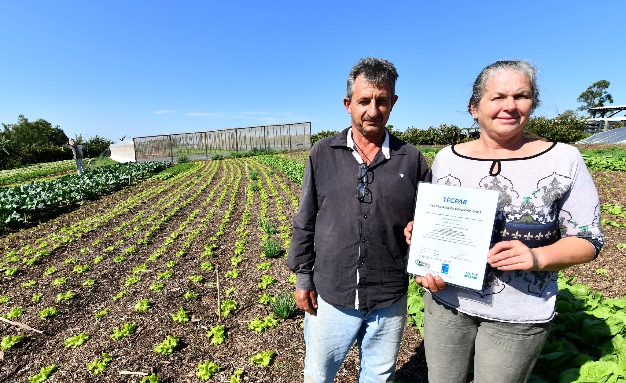 Casal de pequenos produtores recebe certificado de produtos orgânicos, em propriedade da família na Estrada Jurupoca, em Umuarama.