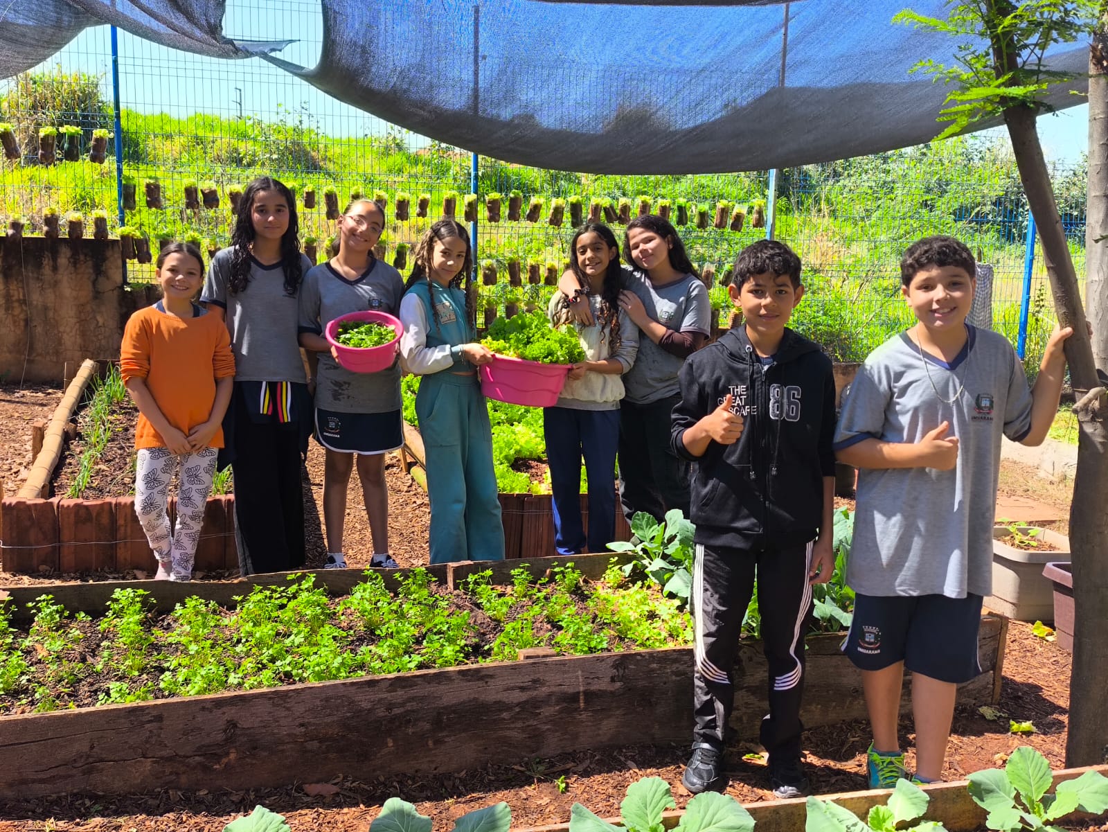 Ver notícia Educação em tempo integral amplia aprendizagens com projeto de sustentabilidade