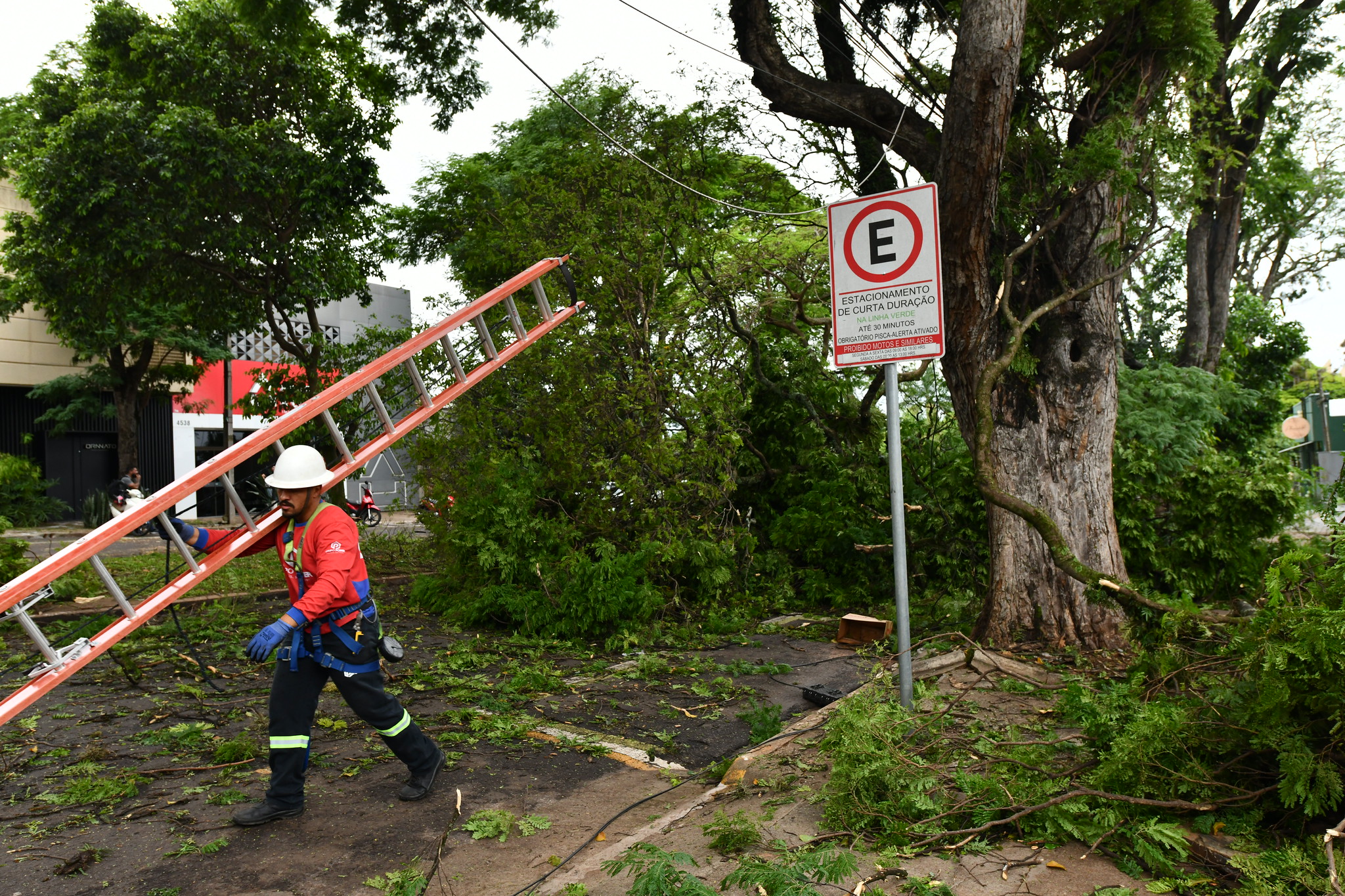 pá carregadeira e equipes retiram árvores caídas em estrada