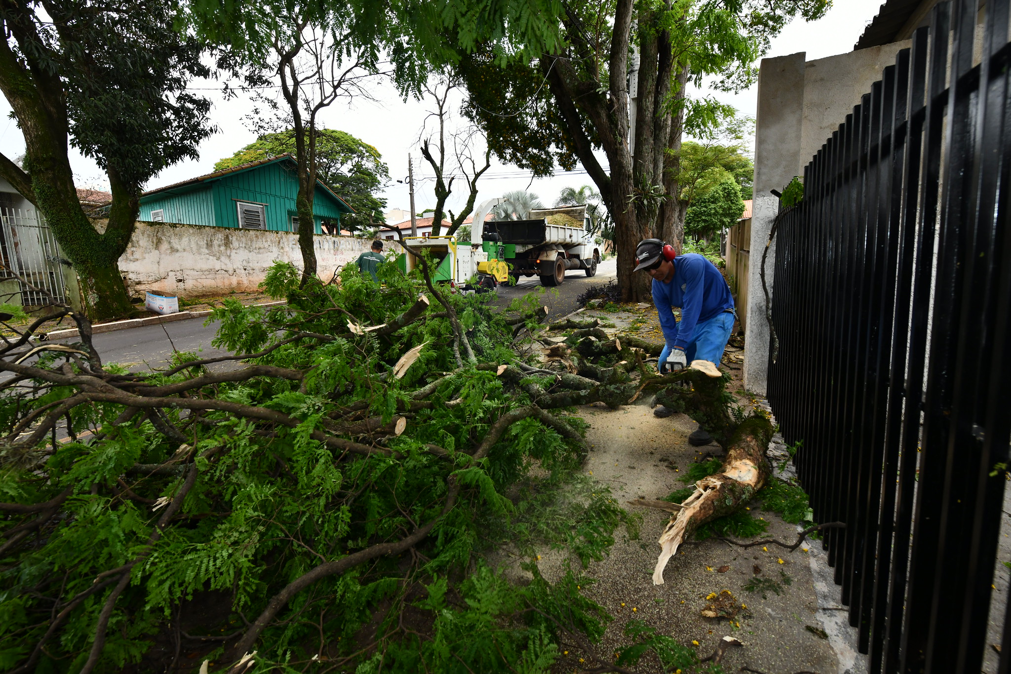 Ver notícia Trabalho avança na remoção de árvores e galhos derrubados por temporal