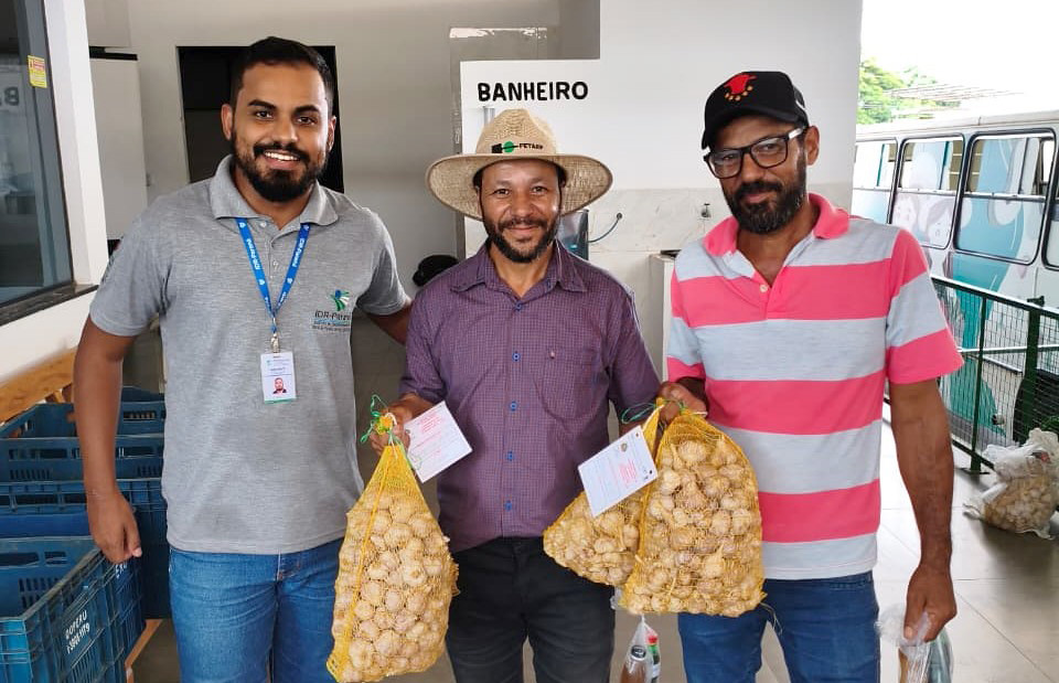 PRODUTORES SEGURAM SACOS DE ALHO