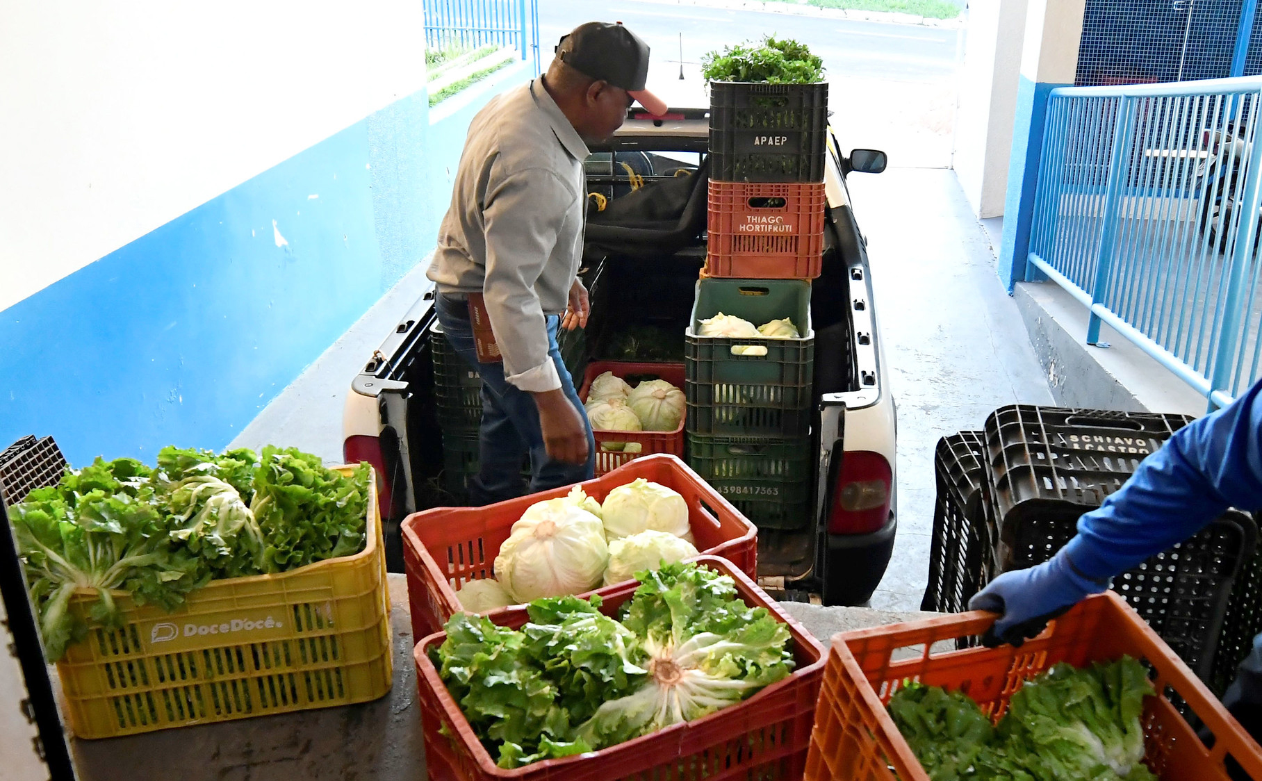 produtor rural entrega caixas de hortaliças