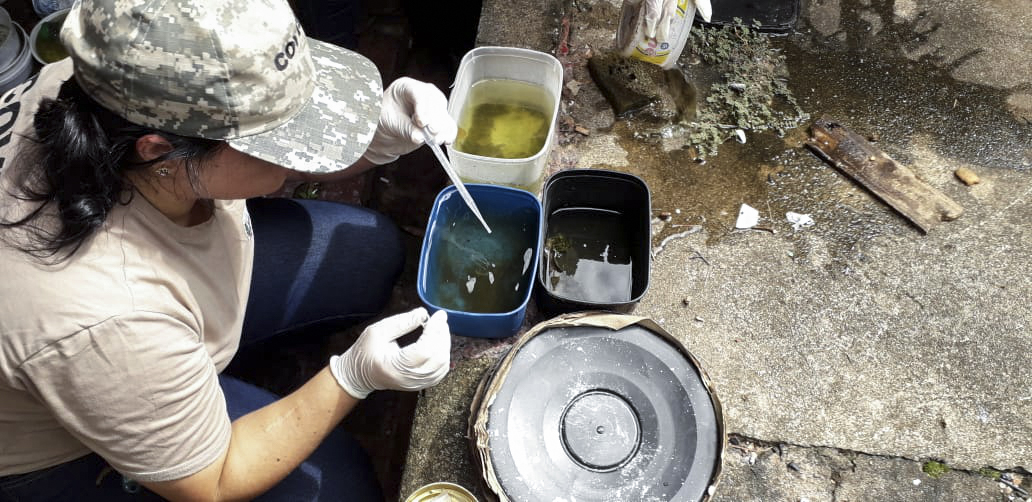 Foto da matéria Infestação de imóveis pelo mosquito da dengue aumentou 300% em Umuarama