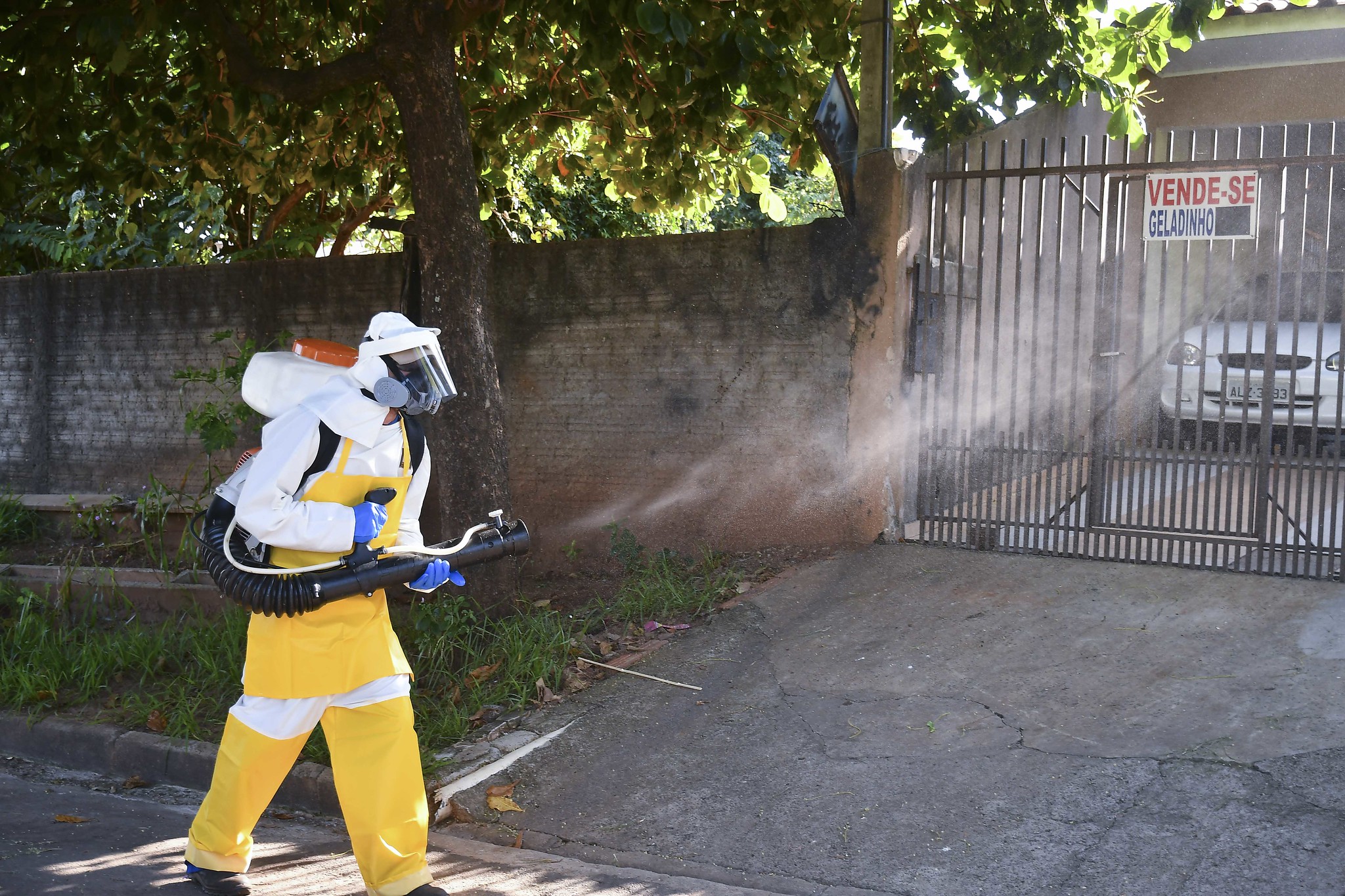 Foto da matéria Infestação predial pelo mosquito da dengue recua, mas ainda está elevada
