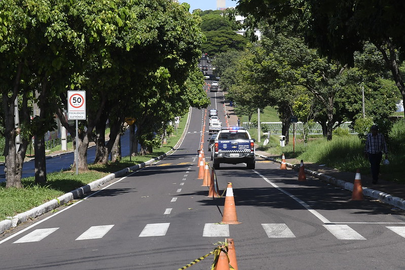 Foto da matéria Prefeitura alerta motoristas sobre presença de capivaras na região do Lago Aratimbó