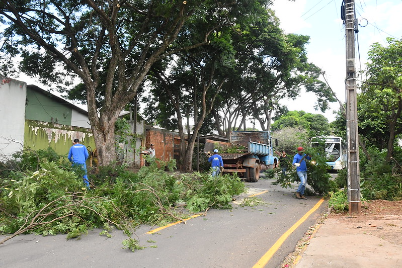 Foto da matéria Moradores do Jabuticabeiras devem colocar entulhos nas calçadas
