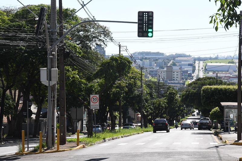 Foto da matéria Arborização na avenida Paraná, na região do Lago Aratimbó, será revitalizada
