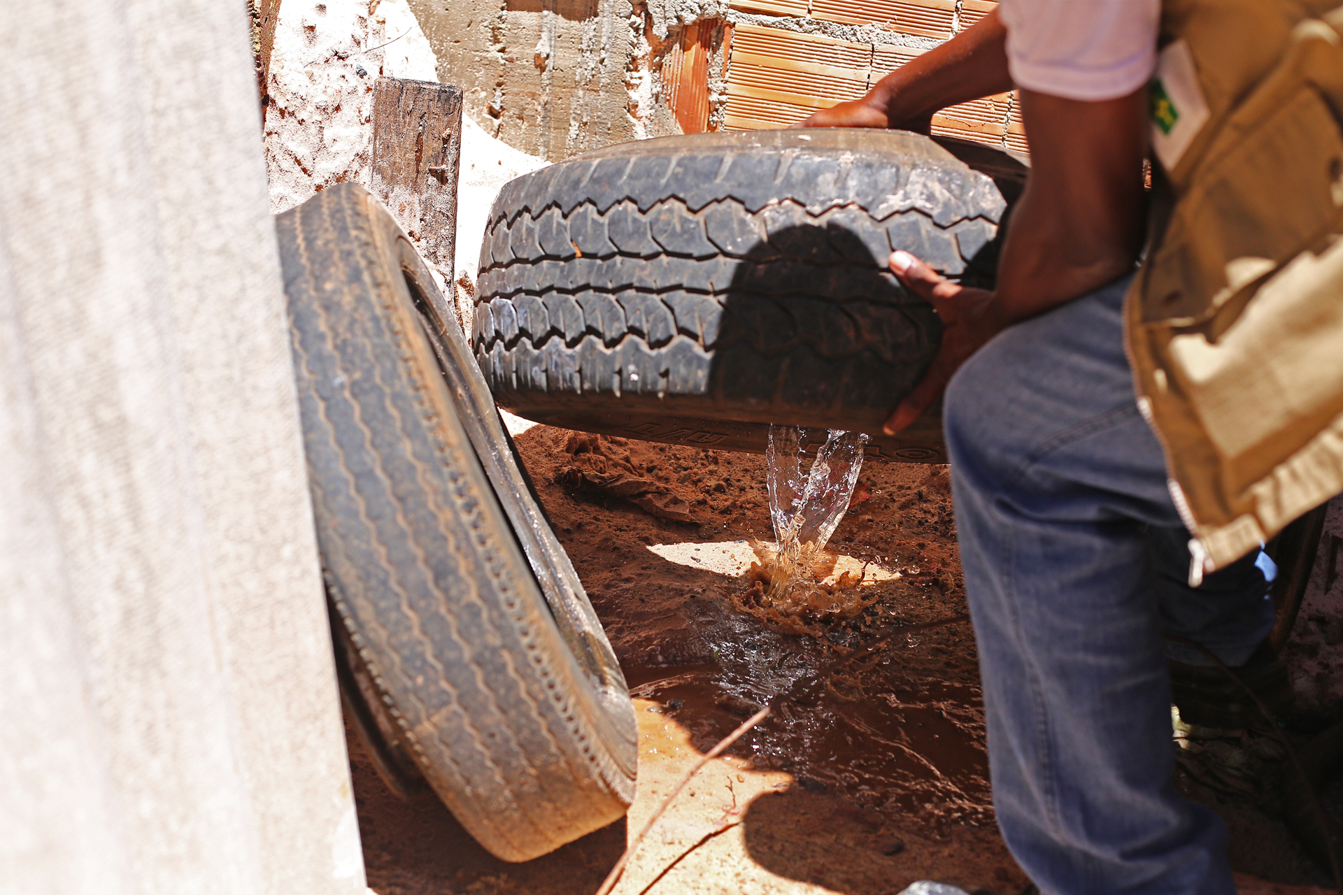 Foto da matéria Umuarama acumula 590 casos de dengue, com 14 novos positivos nesta semana
