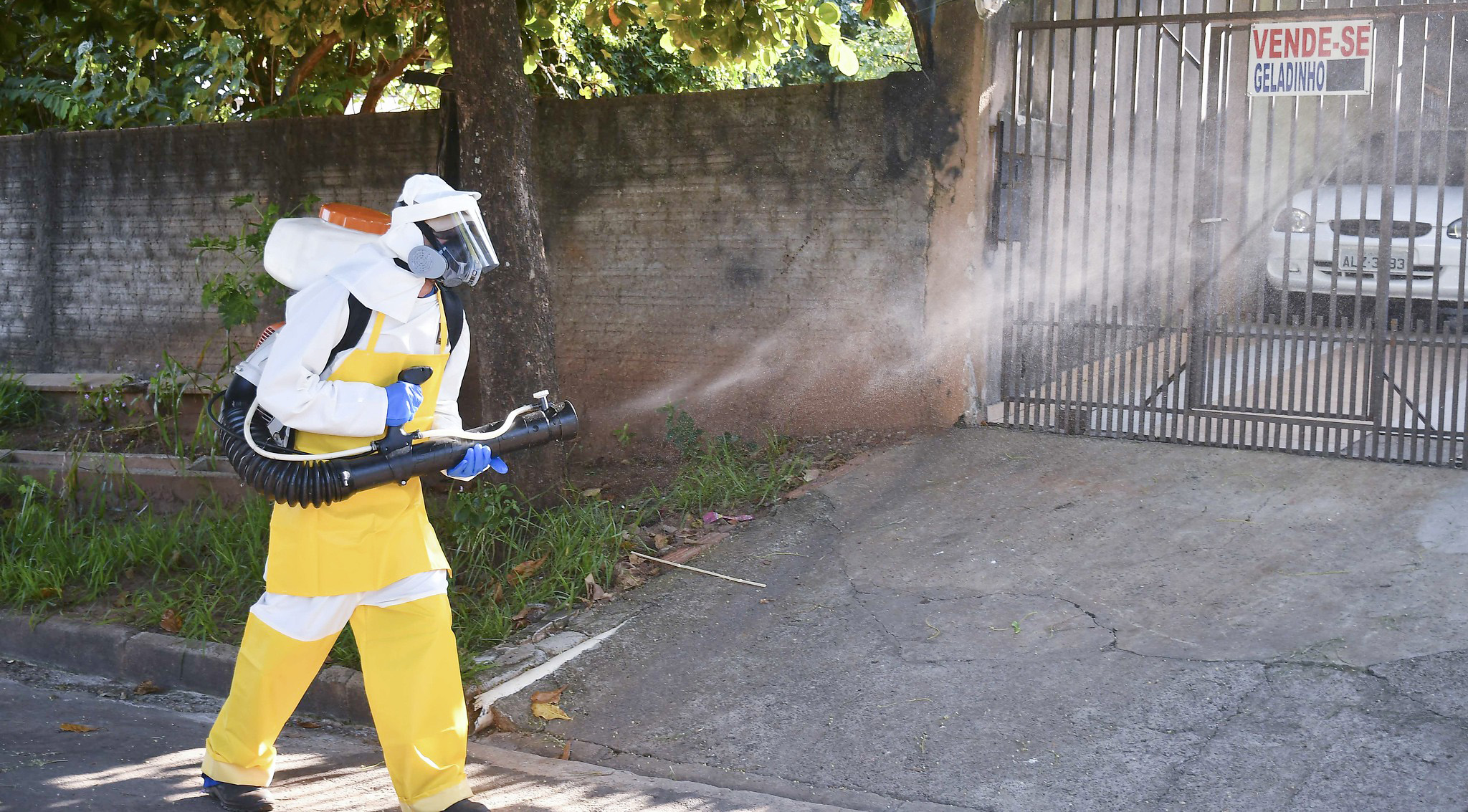 Foto da matéria Infestação predial pelo mosquito da dengue recua a menos de 1%, aponta o Liraa